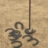Las herraduras 1 juego de las herraduras con un mástil y 10 herraduras