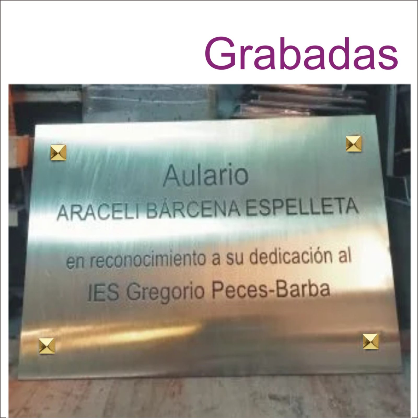 Accesorios del juego de la rana sin la mesa sin la mesa